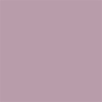 Spectrum glas 240-72SF 10x7 cm