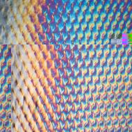 BULLSEYE 0100-32Fi ±25x29cm / Patterned iridescent